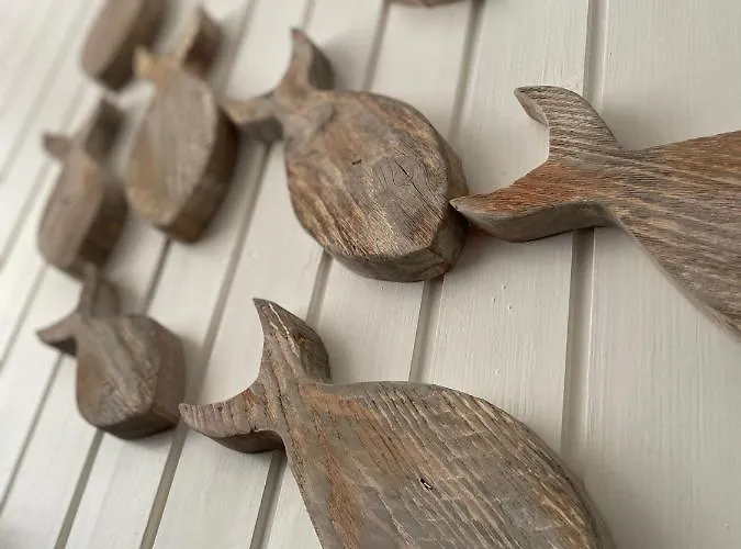 בית נופש House