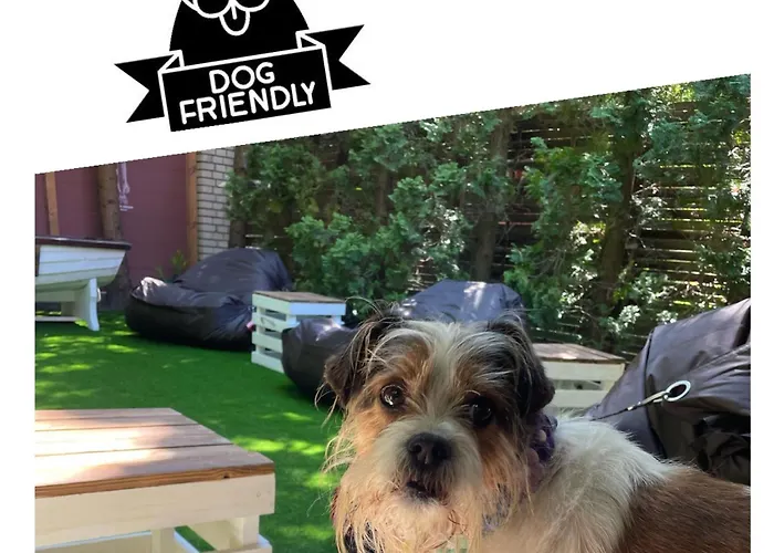 House * שיופוק